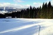 Krynica zaprasza na trasy narciarstwa biegowego